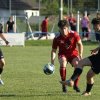 trillhoff-cup 26_ 50 neu